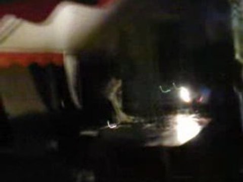 Teuf BZH . 716 Mandragore Arlek1