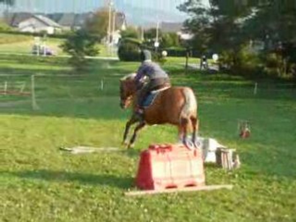 Séance d'obstacle Ignès