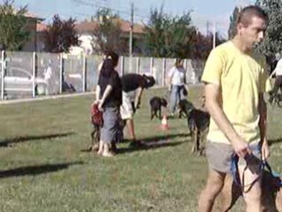 CENTRE D'EDUCATION CANINE DE MONTAUBAN