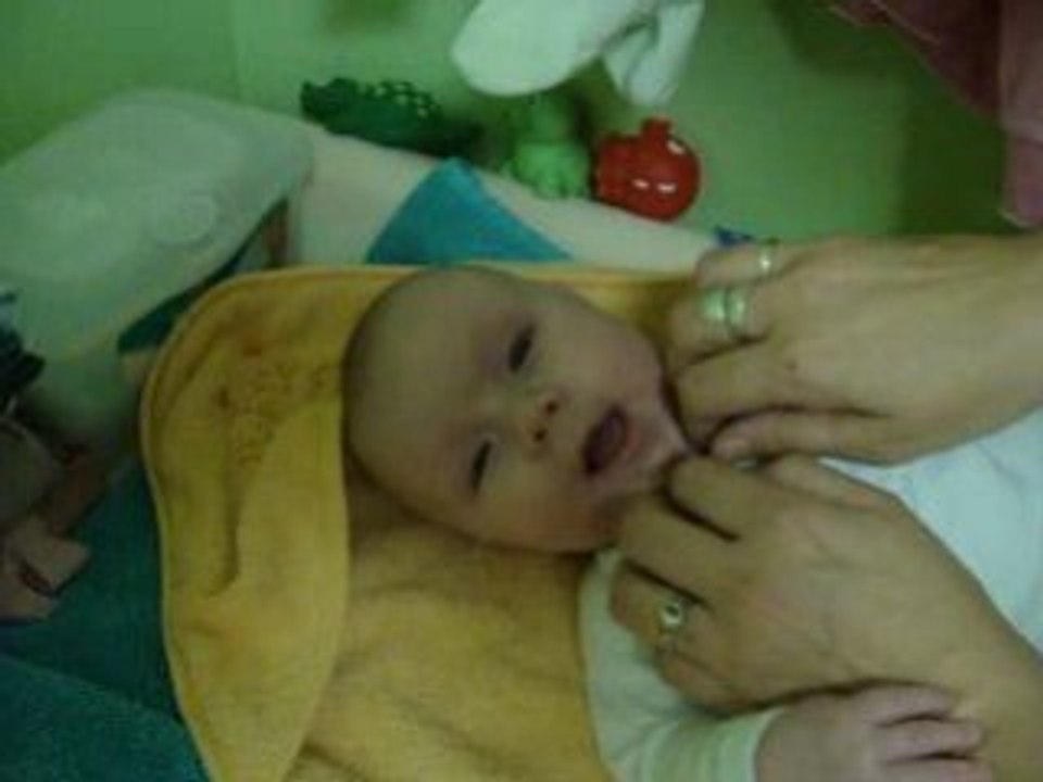 Photo 034