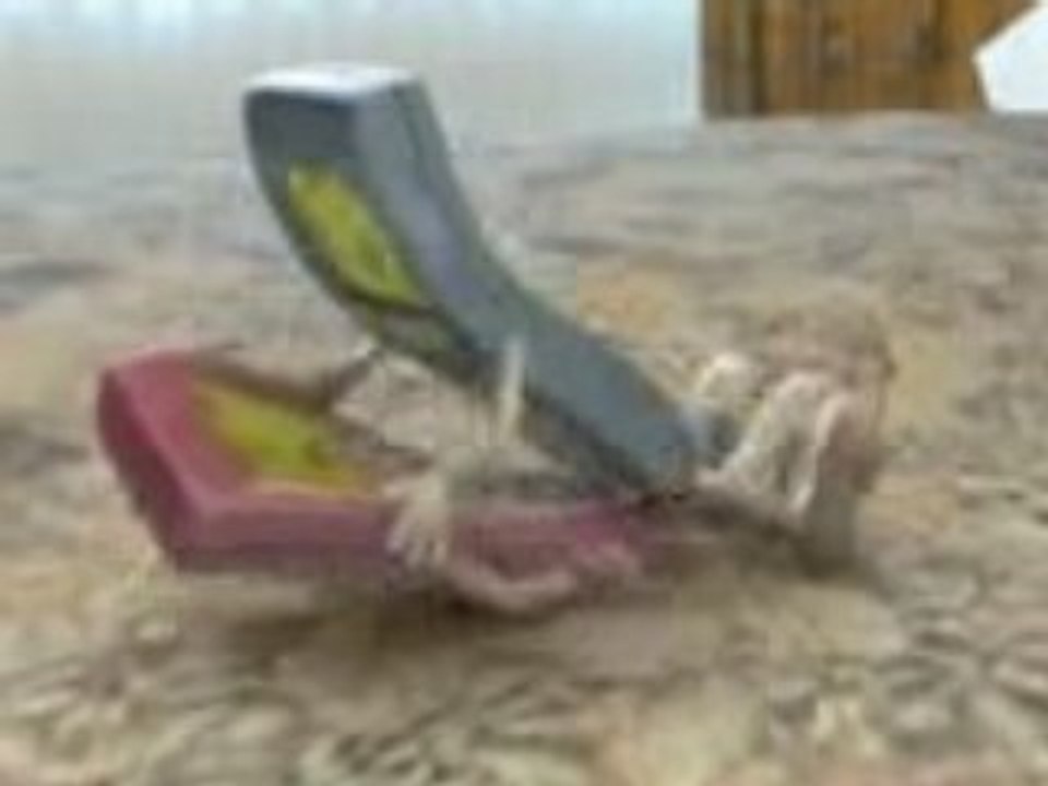 Phone Sex