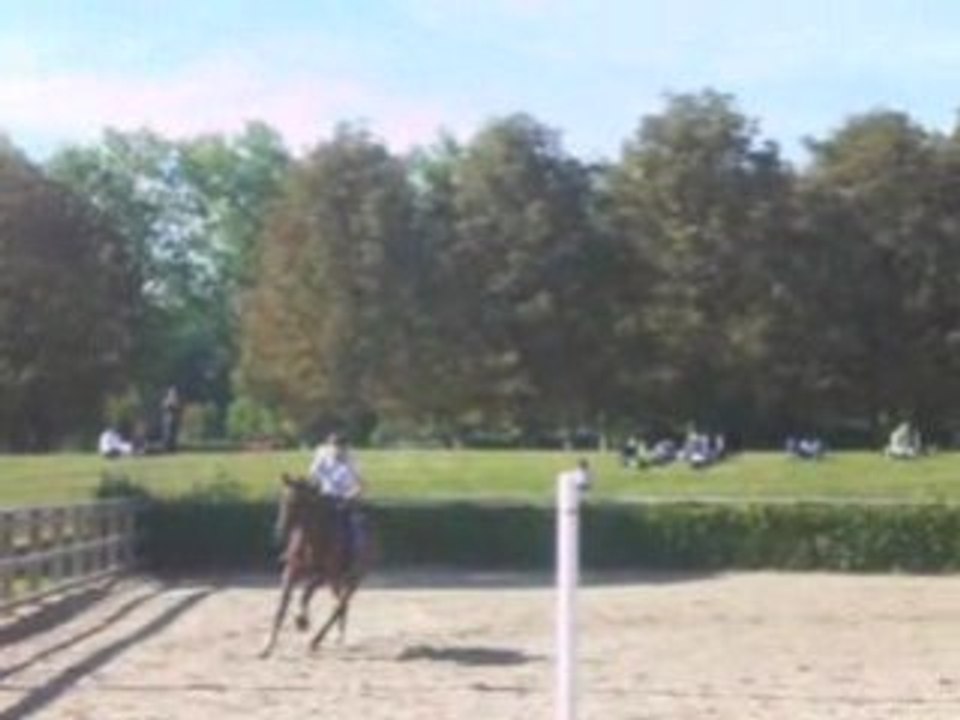 Mon parcours à cheval