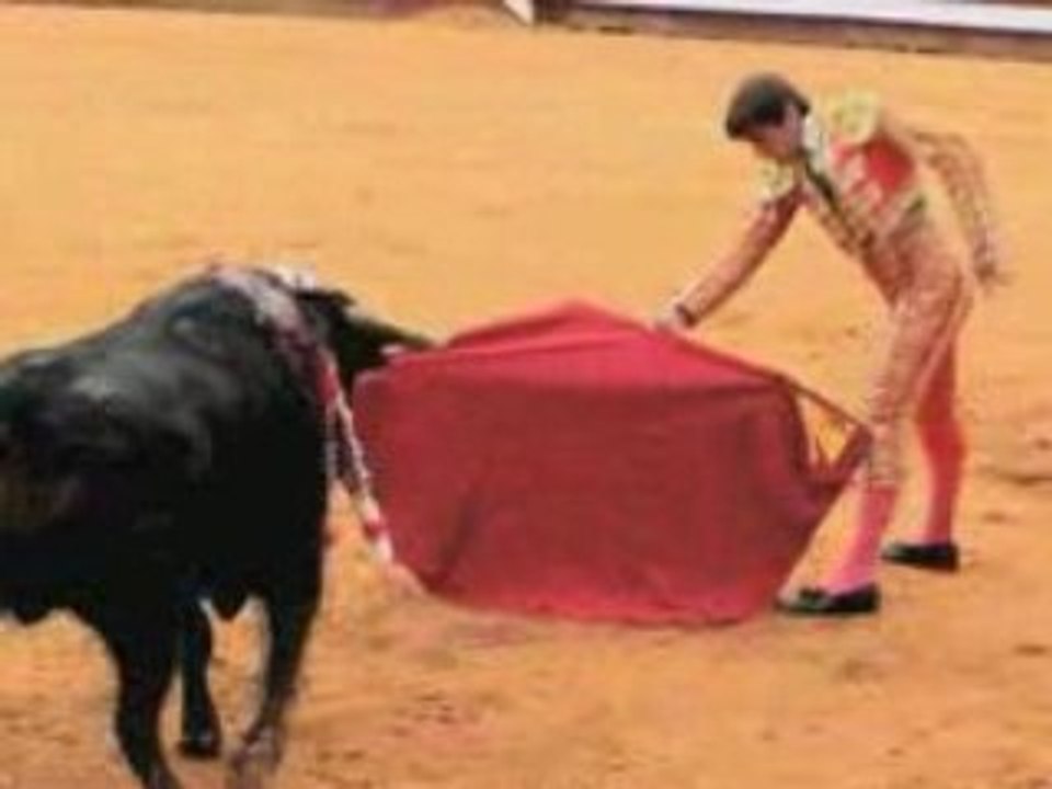 Dax toros-salsa 2008 Novillada