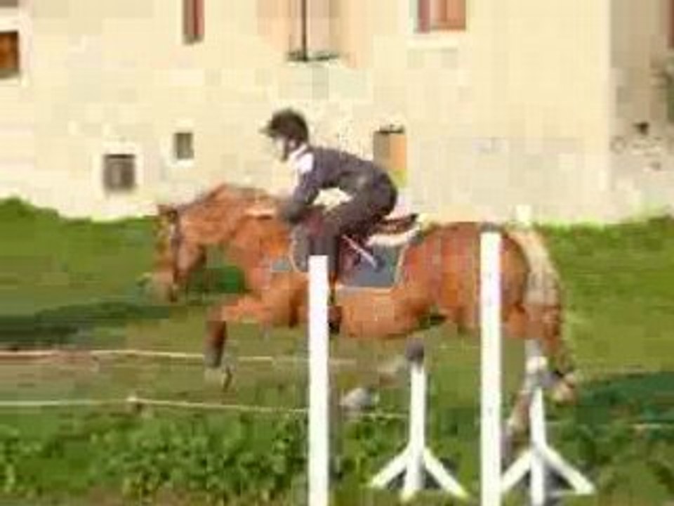 seance d'obstacle avec Ignes 2