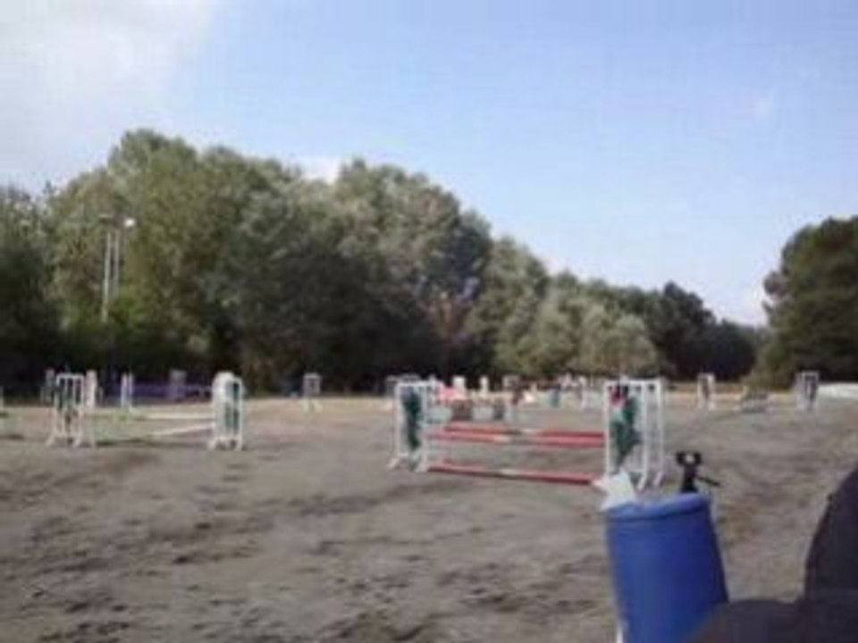 Concour a St Hubert !