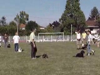 démonstration d'obéissance