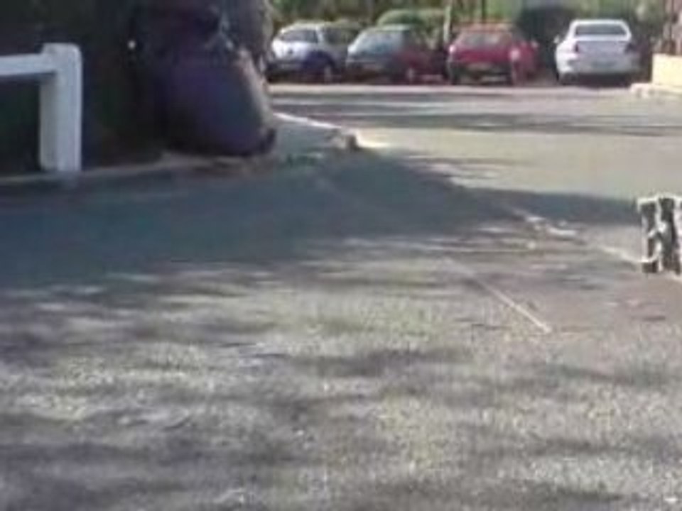 ollie par dessus skate