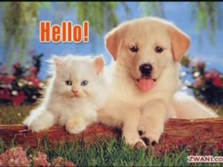 Agraw lessouar ezine