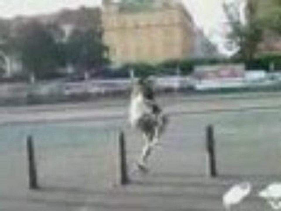 marcher_sur_des_poteaux_