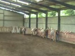 carrousel longues rênes