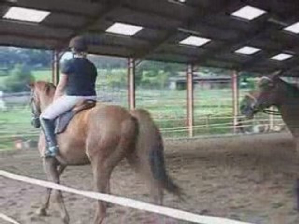 Carrousel Fête du cheval 21 septembre 2oo8