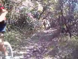 Descente groupe 1