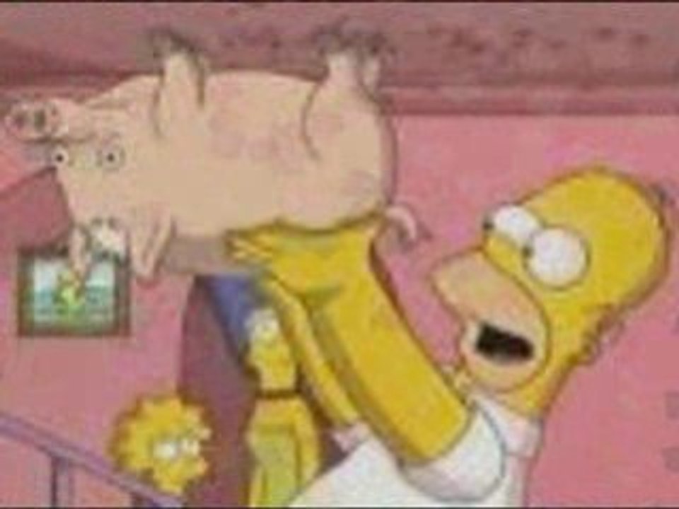 Homer simpson spider cochon