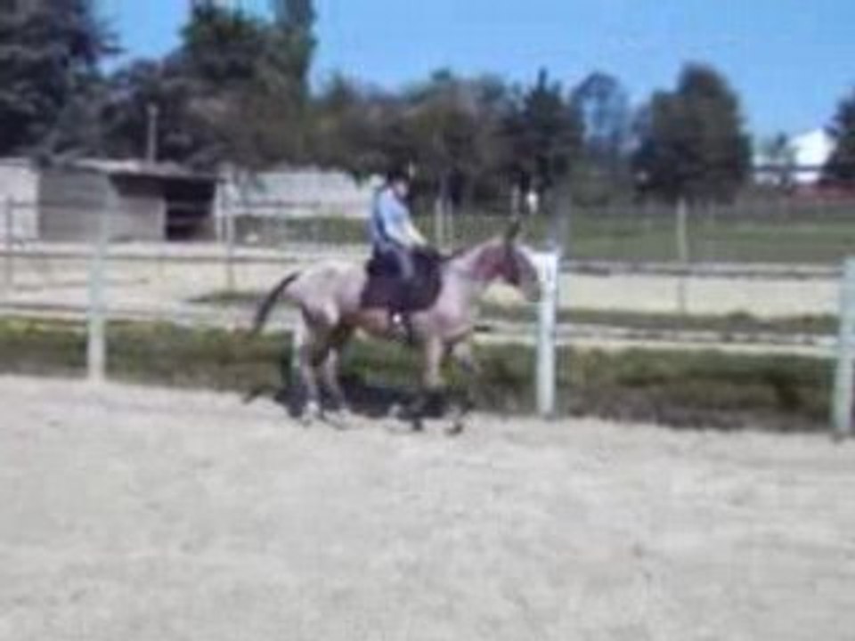 20 septembre 2008 video 5