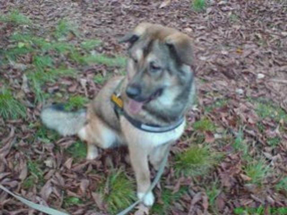 Ein paar meiner freunde_0001