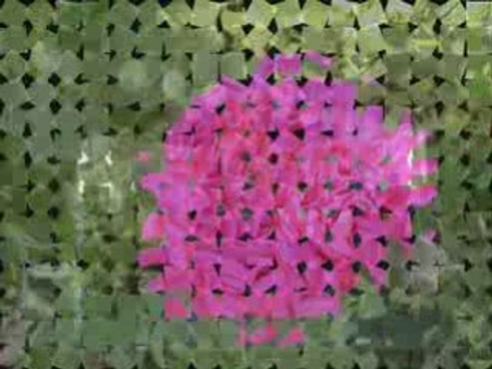 Kader - Sivasın yollarına