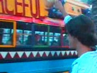 Trailer- Where Have All The Flowers Gone?