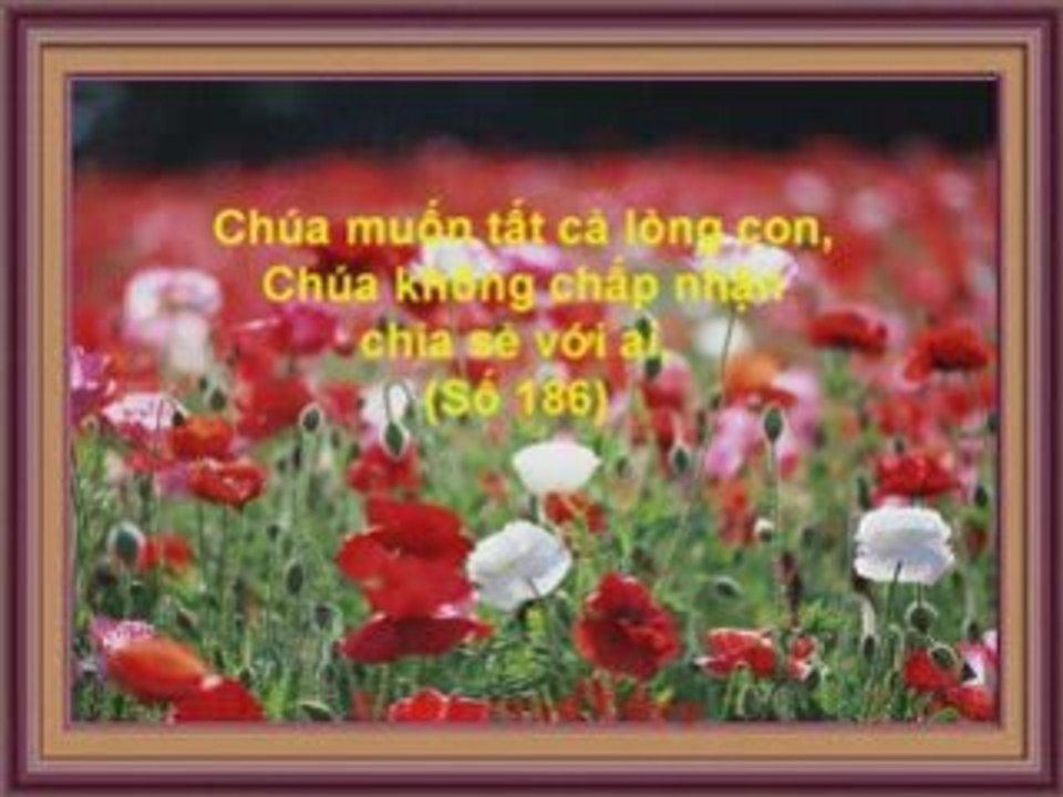 Quả Tim