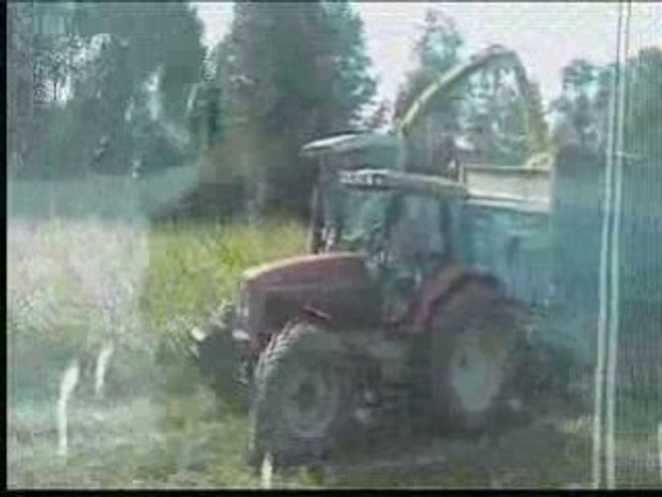 Ensilage 2008