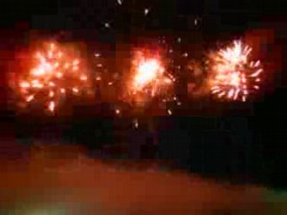 FEU ARTIFICE SALON DE LA CHASSE 2008 PAR JACQUES PREVOT .