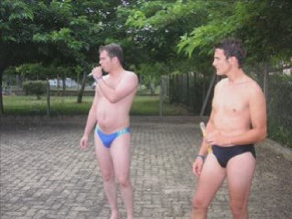 Diaporama des fetes de Lisle sur Tarn 2008