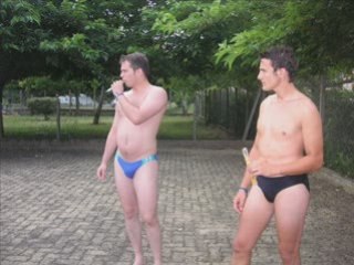 Diaporama des fetes de Lisle sur Tarn 2008