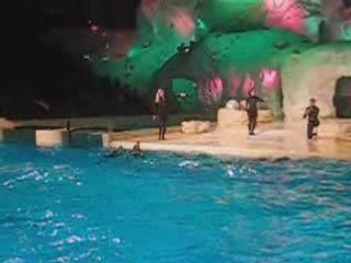 Dolfinarium