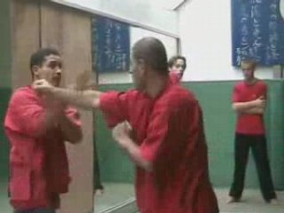 MAYMUN_KungFu_video