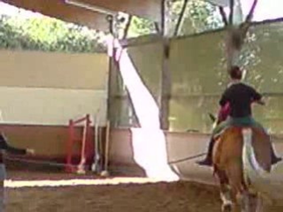 Premiers pas de Chloé en voltige