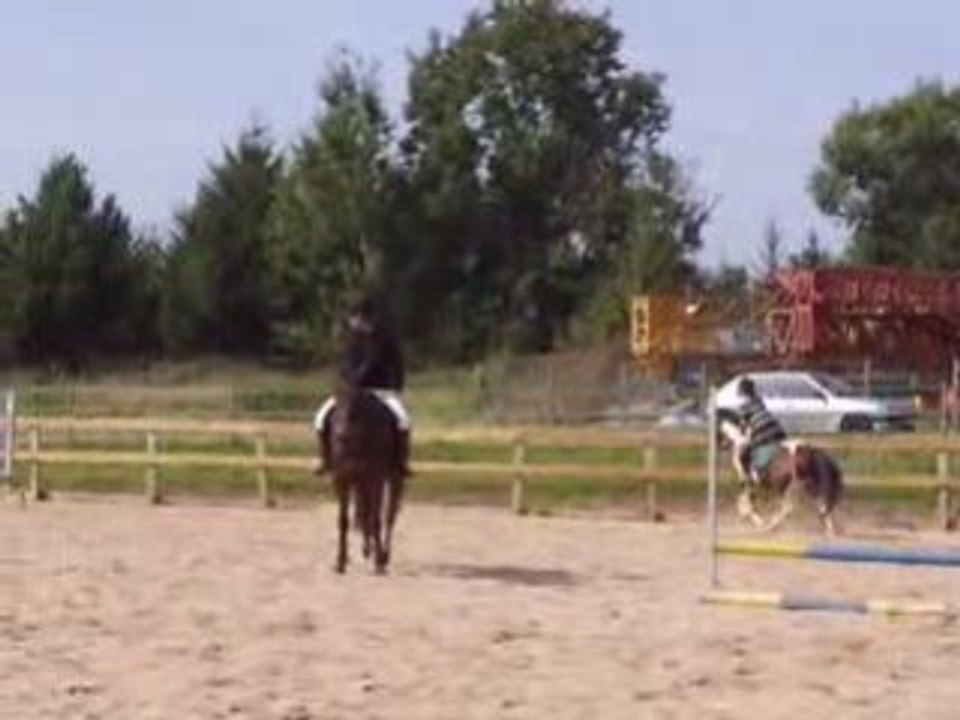 Carole et Pégase