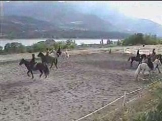 Caroussel Médiéval à Cheval