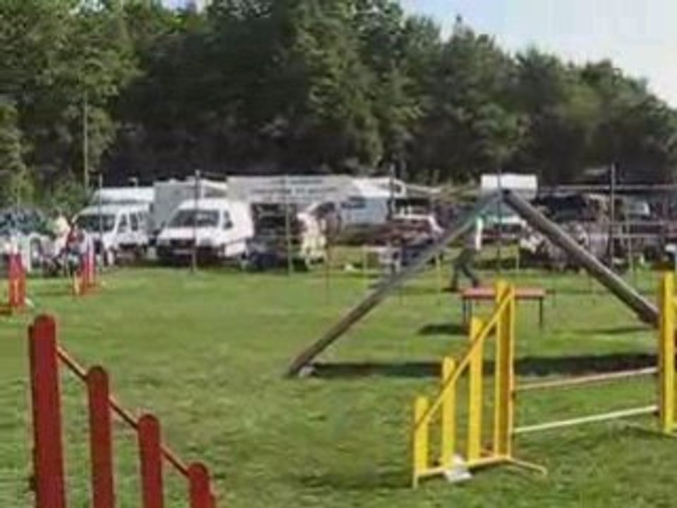 Tenor agility  Laurac