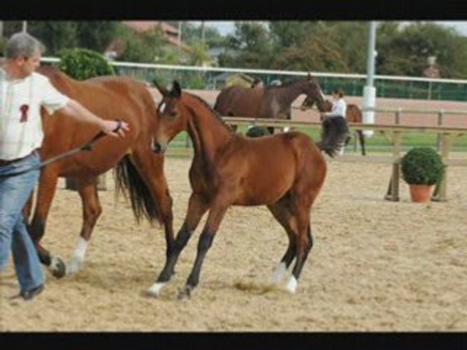 Un atout et ulk 3 mois