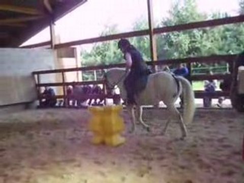 Jeux poneys 2ème manche