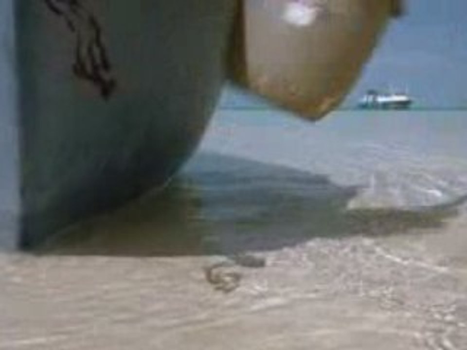 Survie : les Naufragés [FIN]