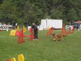 Singa agility Laurac