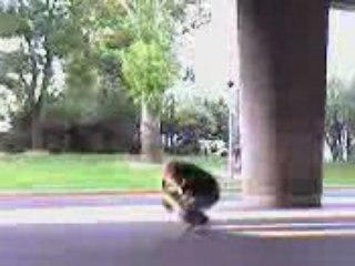 Breakdance Amateur Vanves92