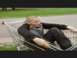 jackass