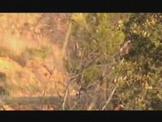 Rallye du Haute Provence 208