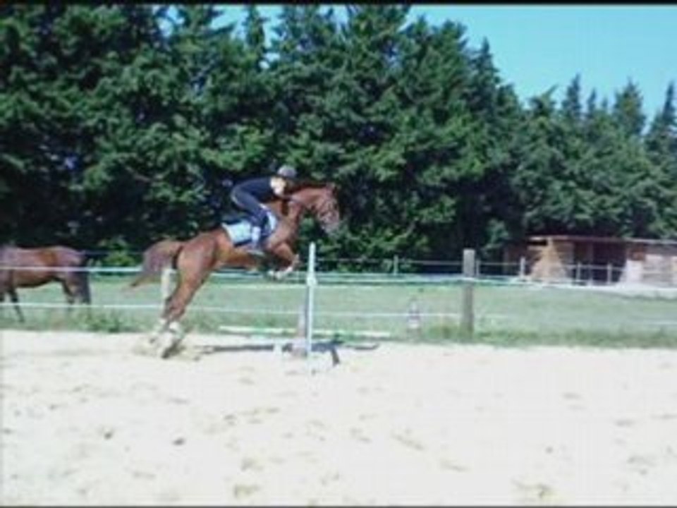Loulou