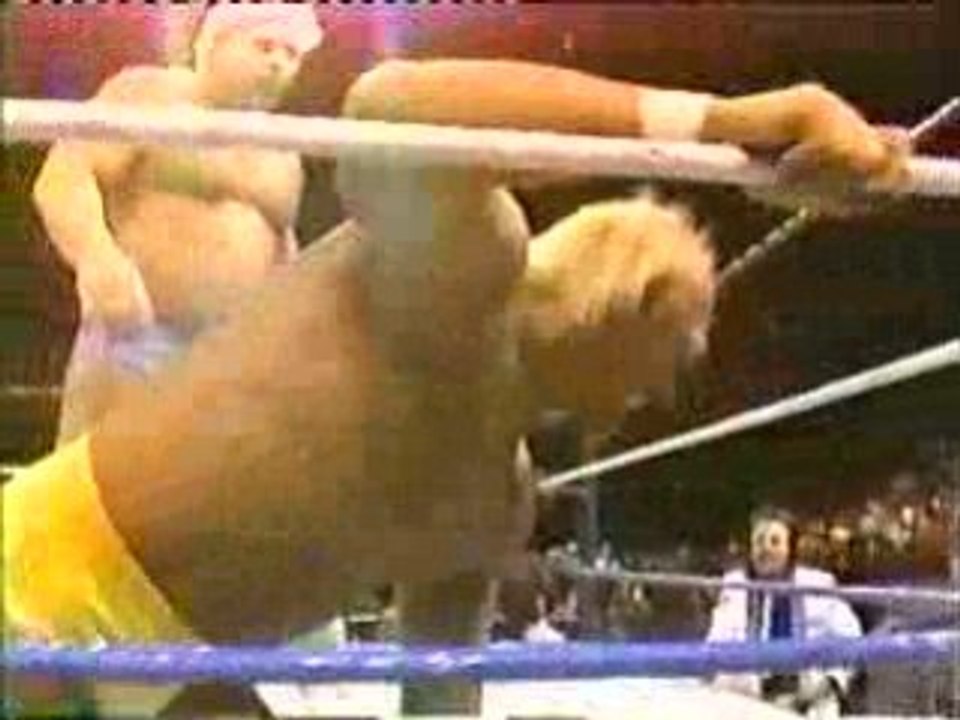 Hulk hogan vs dino bravo