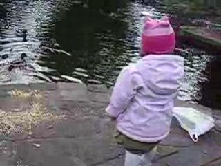 les canards et les filles