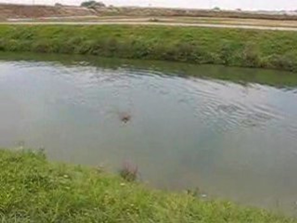 China rapport à l'eau