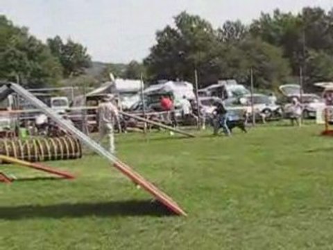 Tessy agility Laurac