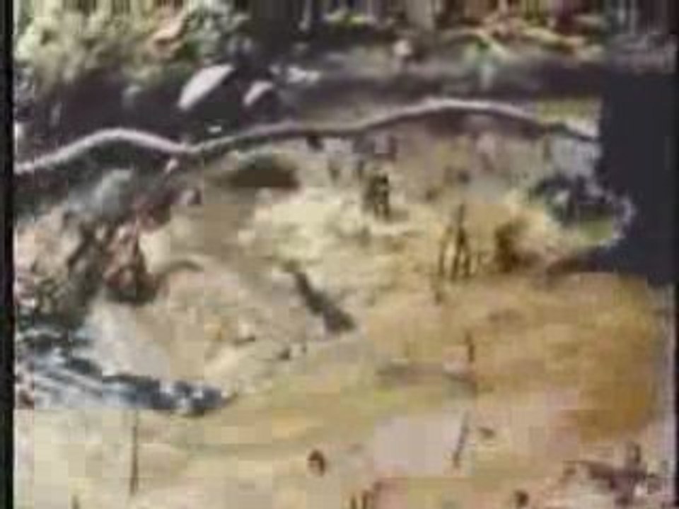 Jaguar vs Crocodile (Caiman)