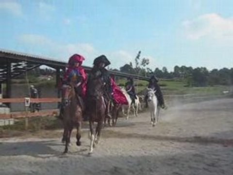 Fete du cheval carousel médieval
