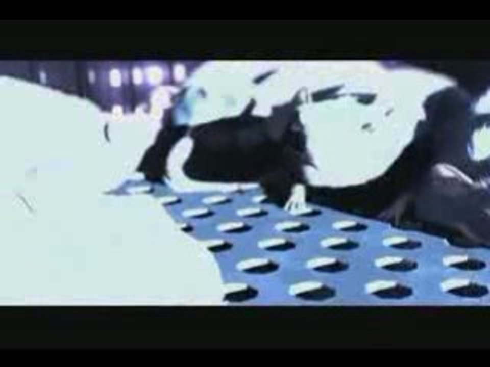 One Rat Short