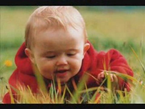 Arthur en vacances! (Diaporama musical)