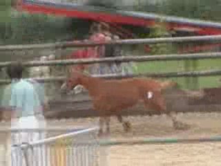 Ravenn Saut en lib 3ans