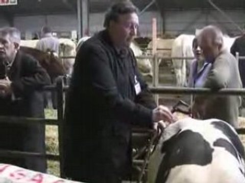 Concours au marché aux bestiaux du cateau-cis